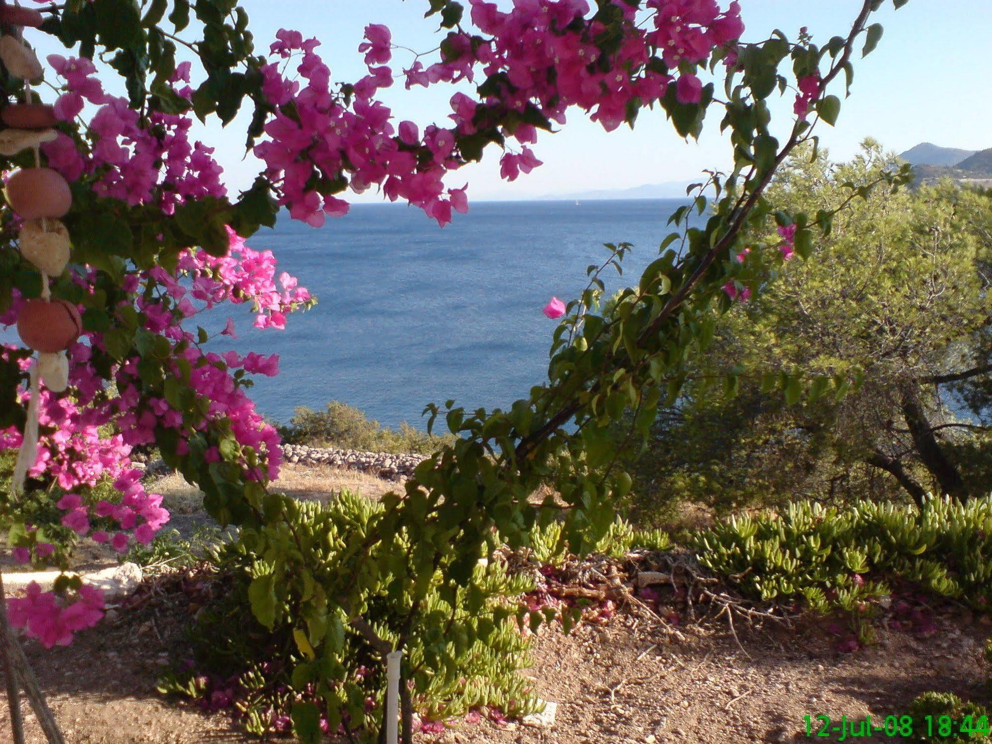 Kavos Bay Seafront Hotel Agia Marina  Buitenkant foto